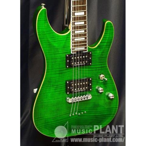 SCHECTER エレキギターPA-SW/TH新品在庫状況をご確認ください | MUSIC
