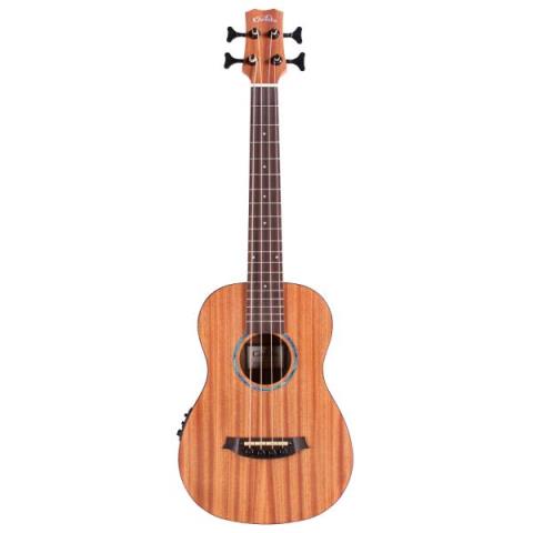 Takamine B10 タカミネ アコースティックベース フレットレスベース