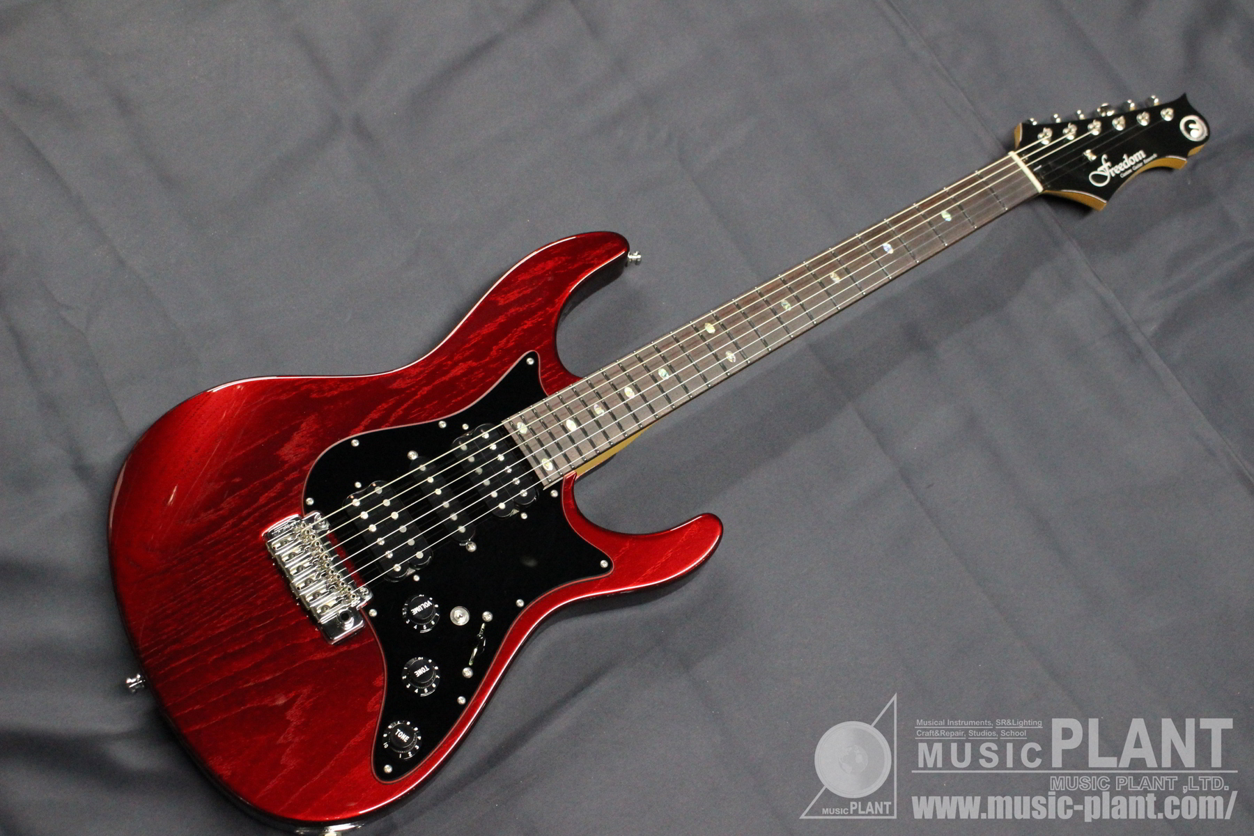 FREEDOM CUSTOM GUITAR RESEARCH エレキギターHydra Classic 24 2point