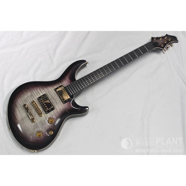 美品！ PRS SE Torero スルーネック！ EMG・フロイドローズ搭載 Paul