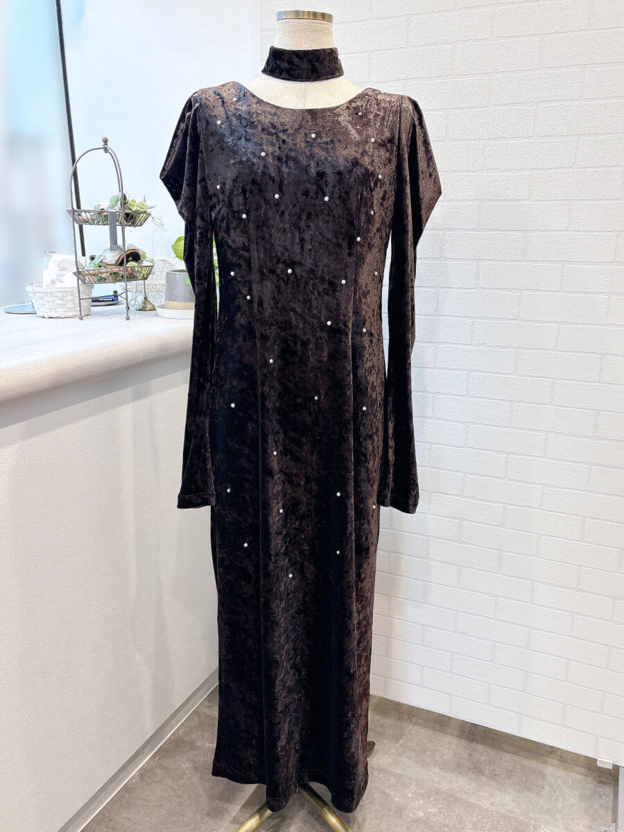 my closet / ANDRESD pearl glow velour dress sbr