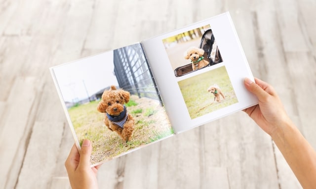 商品から探す(種類・価格) | 高品質なフォトブック・写真アルバムを