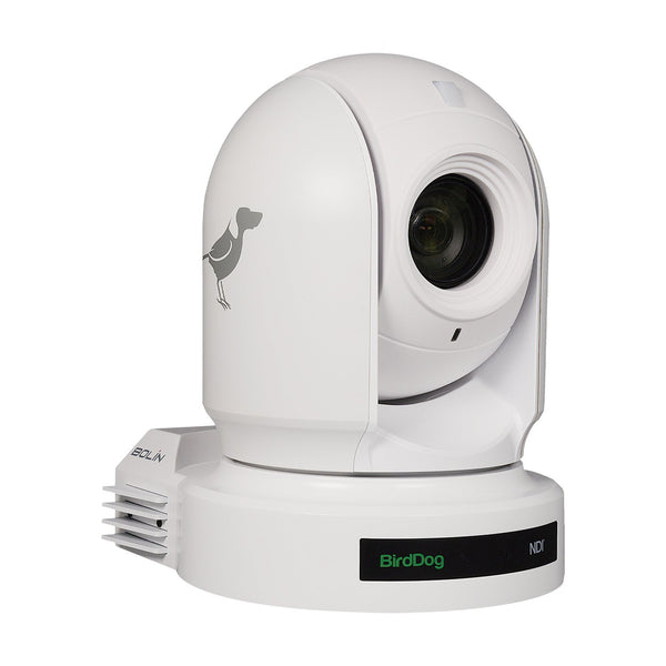 Birddog P200 1080P 30x Full NDI PTZ Camera White – North State Sound