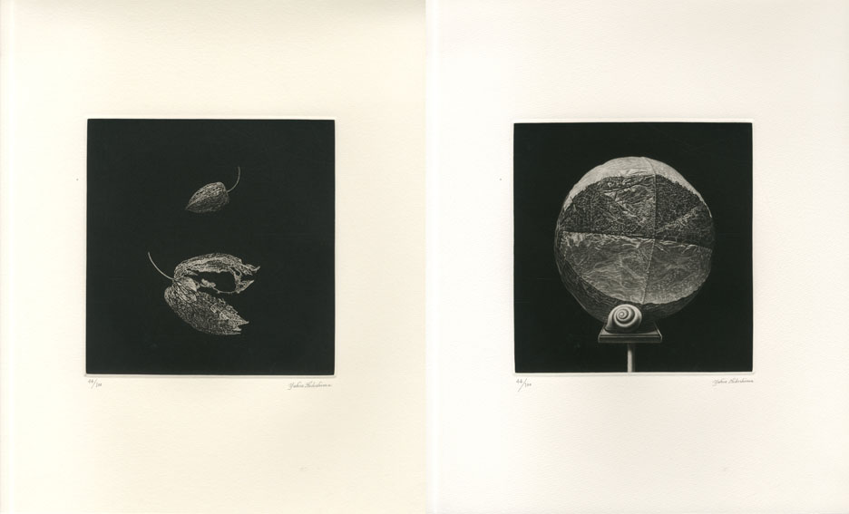 秀島由己男 版画集 春の城シリーズ 草の道 秀島由己男 版画集 春の城