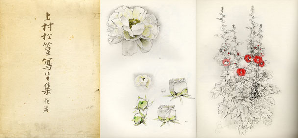 春秋花島四題クチナシ上村松篁