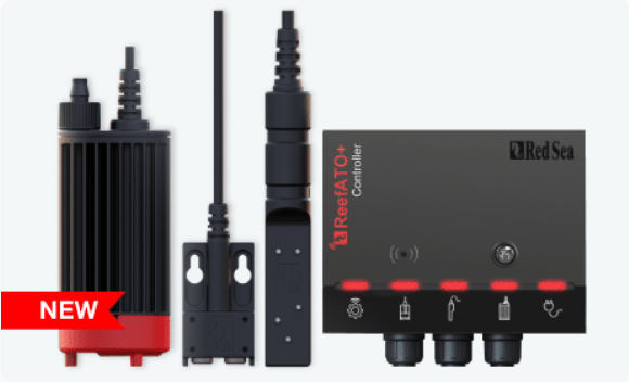 レッドシーリーフATo+ ジャンク