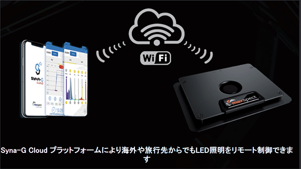 Maxspect Jump MJ-L165 - 海水魚ショップ ナチュラル
