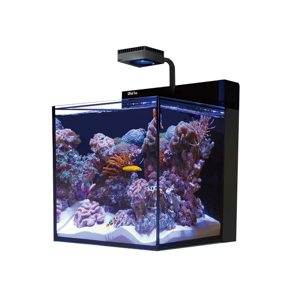 RedSea MAX Nano キューブG2 60Hz水槽単体 フランジ付 RL60付き - 海水
