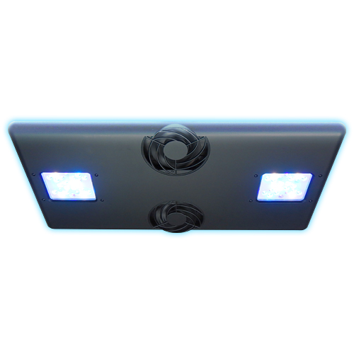 Grassy Core X200 Reef（SPS model） - 海水魚ショップ ナチュラル