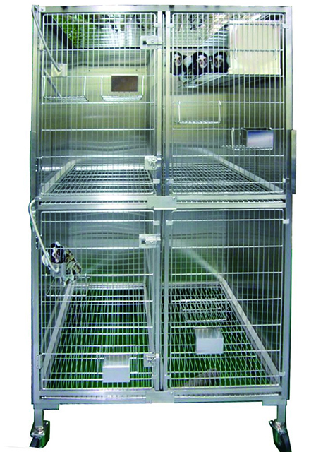 雫工房 大型フルセット！デュビア用飼育・繁殖ケージ 二重底上段