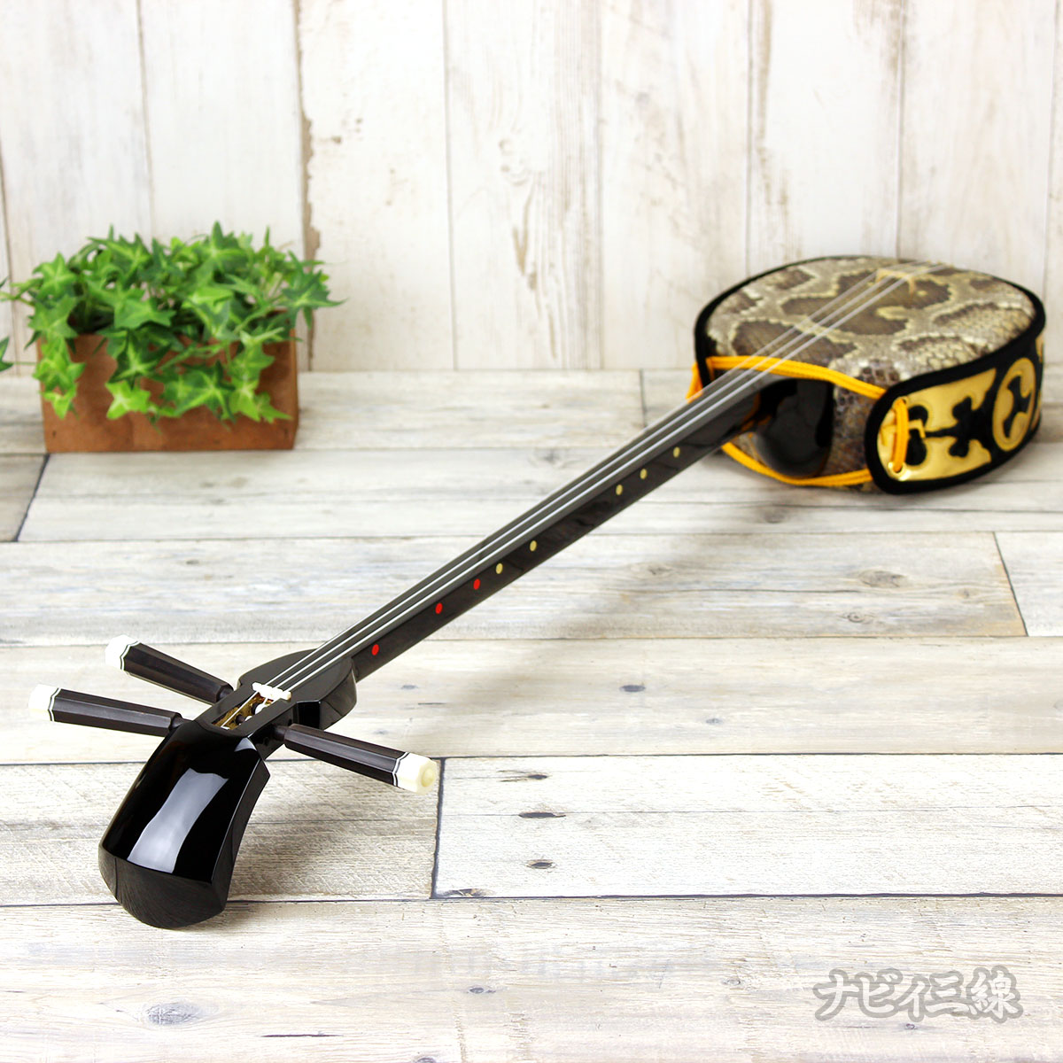 三線入門セット｜三線専門店ナビィ三線｜初心者に一番人気！ケース