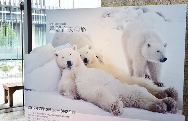 長崎県美術館 写真展「星野道夫の旅」開催中！アラスカの大自然と