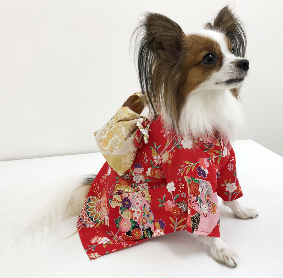 犬 服 代官山Nahomillyの 本格 着物 振袖 －正絹の布地－