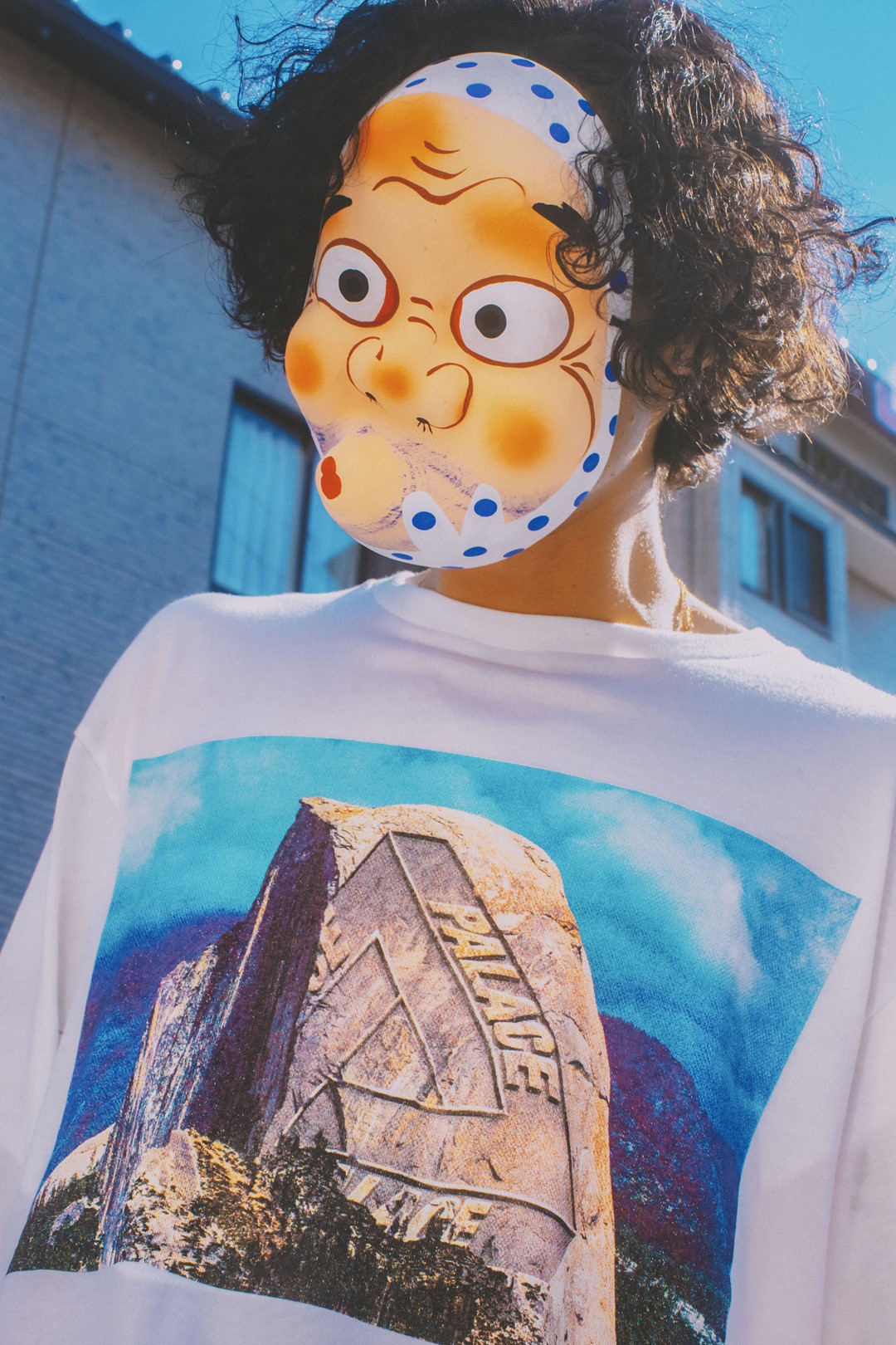 nanamica / 〈 LOOK BOOK 〉THE NORTH FACE Purple Label × PALACE