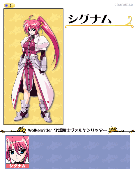 武人シグナム SP サイン 清水香里 魔法少女リリカルなのは 武人