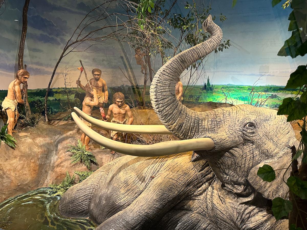 香芝市〉全国初！旧石器文化と石の博物館が奈良県にあった。『香芝市二