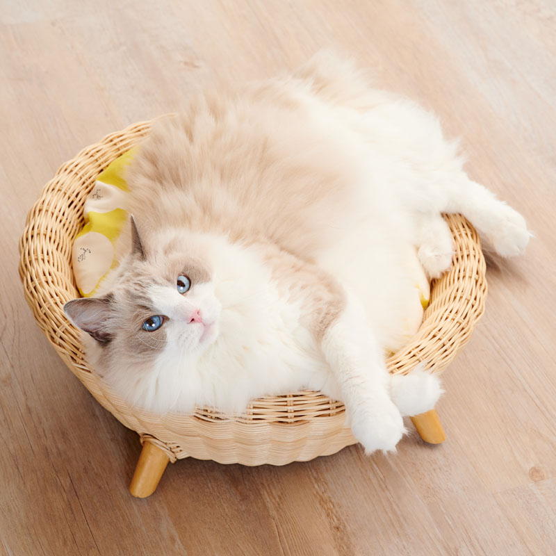 ネコセカイ 公式オンラインショップ / ラタンポットベッド専用