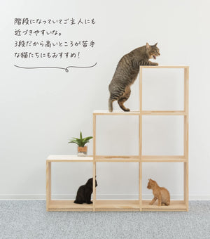 収納付きキャットタワー本棚 猫棚3段 ｜ 猫のための木工所