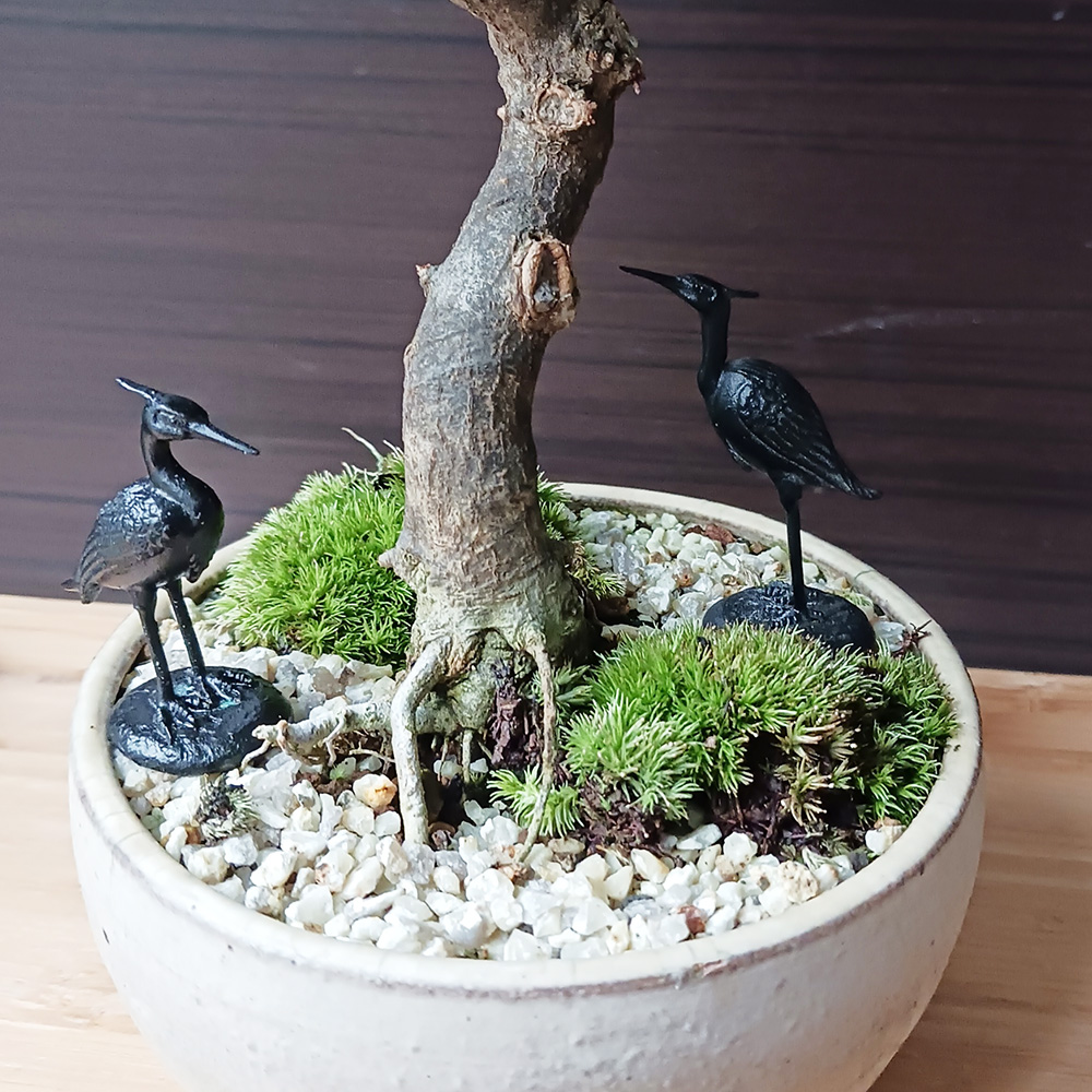 盆栽 添配 駿河山正 京わらべ 蛙と遊ぶ 近くで見守るお坊様 水石 京の