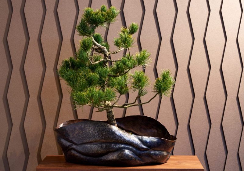 人間国宝 玉川堂 六代目 玉川政男 鎚起銅器 額皿 長方膳