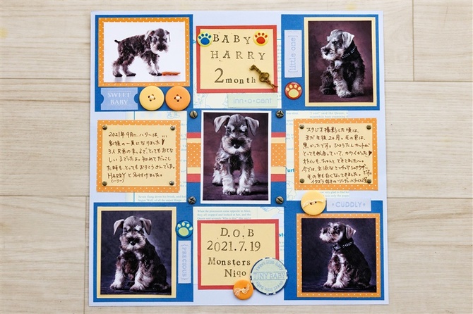 竹さんのわくわく写真塾】スクラップブッキングを楽しむ｜【西日本新聞me】