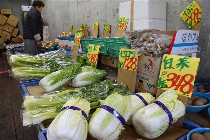 キャベツ1玉700円！野菜価格が2～3倍、消費者悲鳴 春までに6000品目