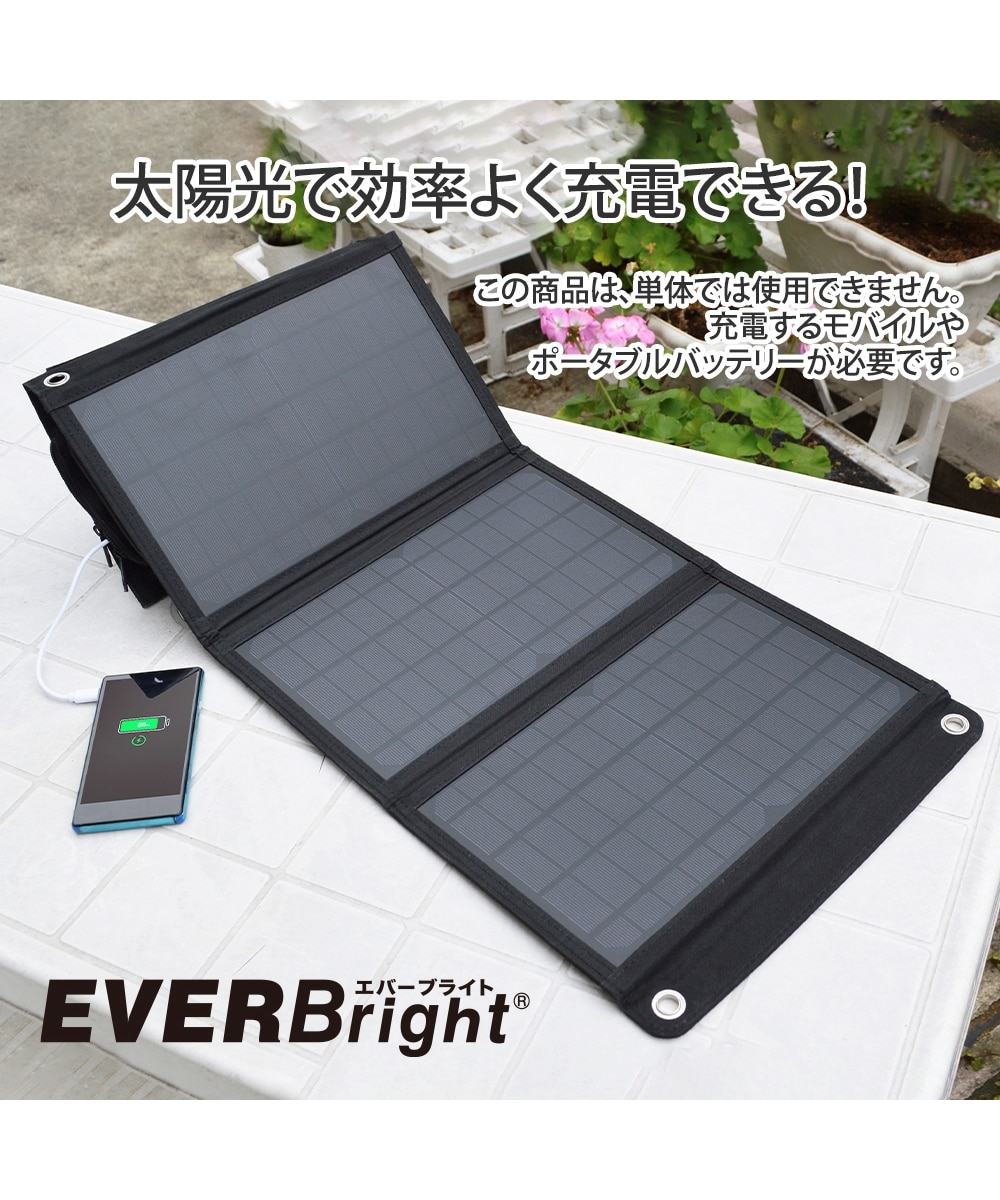 エバーブライト 21Wソーラーパネルポケット付き 通販【ニッセン】