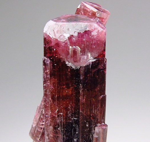 ルベライト 657(大型) ロシア - 鉱物標本・隕石標本販売のWeb専門店