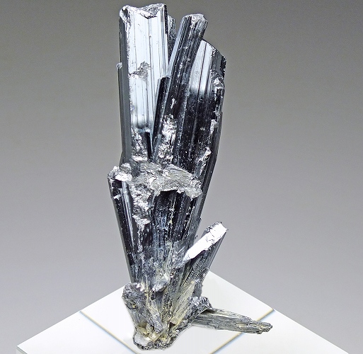 輝安鉱 154 中国 - 鉱物標本・隕石標本販売のWeb専門店 エヌズミネラル