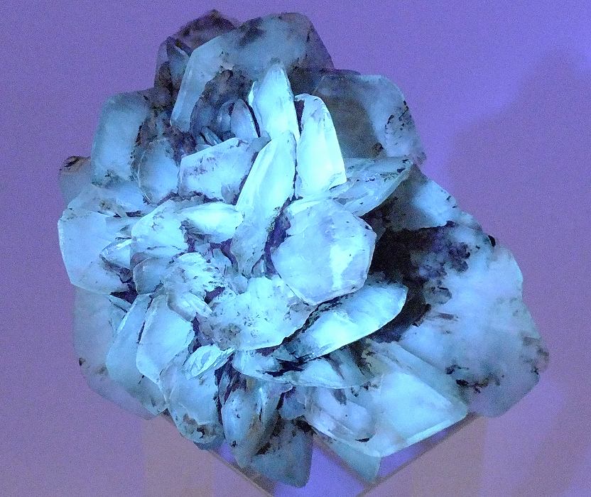 セレナイト 505(蛍光/燐光/キャビネット) ポーランド - 鉱物標本・隕石