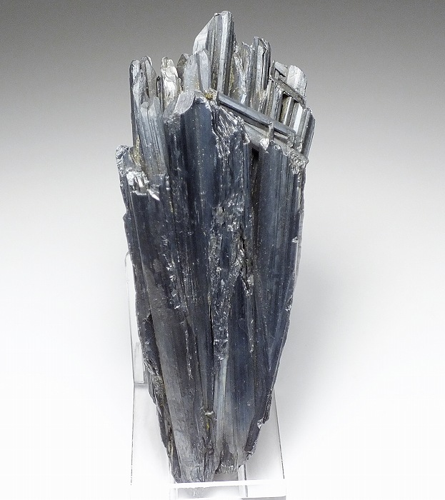 輝安鉱 65J(キャビネット) 愛媛県 - 鉱物標本・隕石標本販売のWeb専門