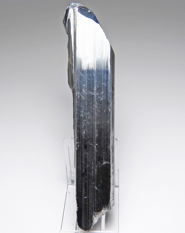 輝安鉱 85J(キャビネット) 愛媛県 - 鉱物標本・隕石標本販売のWeb専門