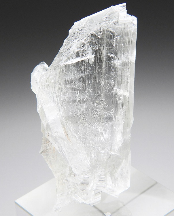 セレナイト 530 メキシコ - 鉱物標本・隕石標本販売のWeb専門店 エヌズ