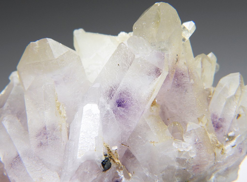 紫水晶 143J 岐阜県 - 鉱物標本・隕石標本販売のWeb専門店 エヌズ