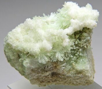 セレナイト 505(蛍光/燐光/キャビネット) ポーランド - 鉱物標本・隕石