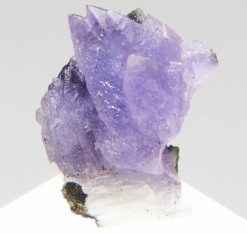 アメシスト 867 カザフスタン - 鉱物標本・隕石標本販売のWeb専門店