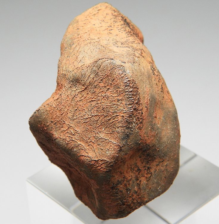 Millbillillie(ミルビリリ) エイコンドライト石質隕石(EUC-M) 711