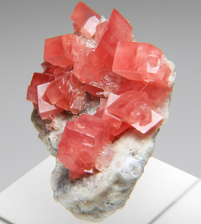 菱マンガン鉱 ロードクロサイト の商品一覧- 鉱物標本・隕石標本販売の