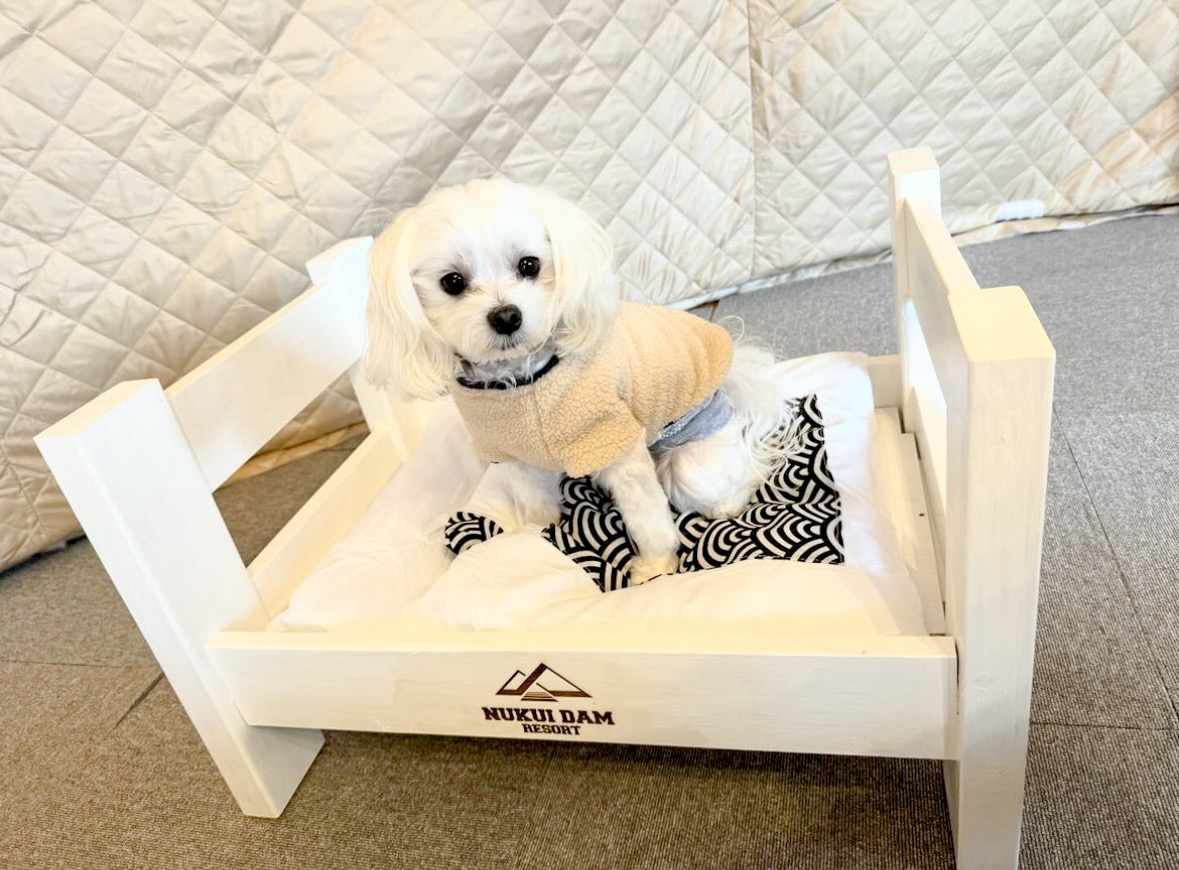 あかしもの ワンさん専用です 専用 Motokun様 ZX｜製品紹介｜YASAKA株式