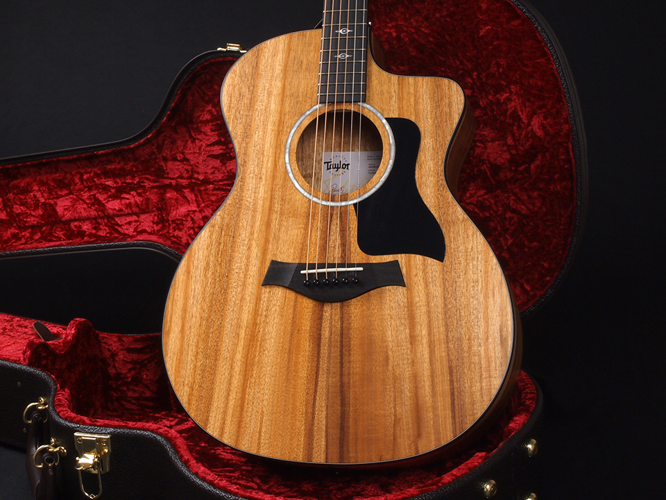 美品 Taylor 224CE-K DLX テイラー コア ハードケース付 Amazon