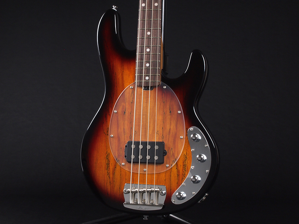 Sterling by MUSIC MAN STINGRAY 4 RAY34 Maple Top ~3 Tone Sunburst