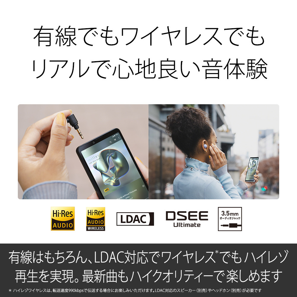 一括支払い 未使用 Sony Xperia 10 VI ブルー Xperia 10 VI（XQ-ES44