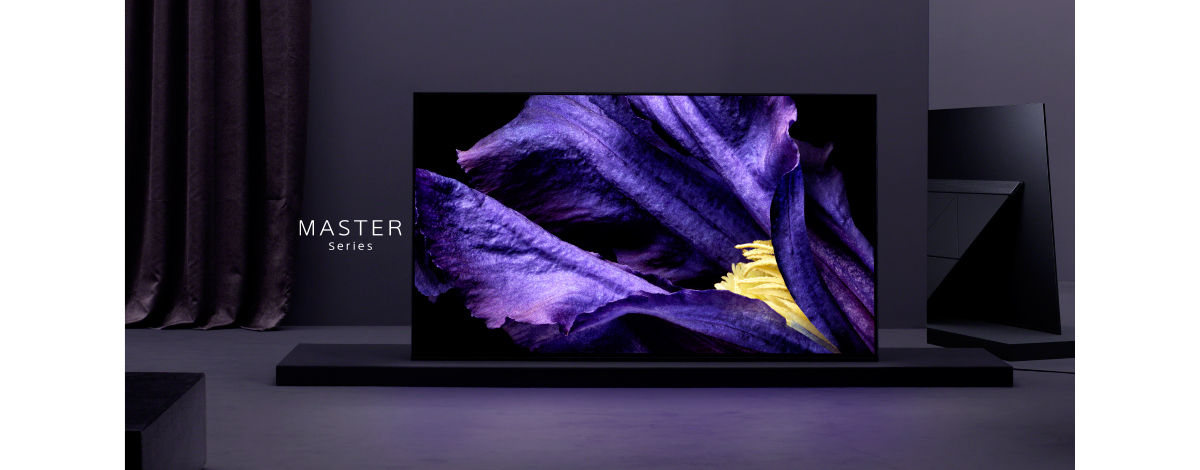 SONY 55型 4K有機ELテレビ KJ-55A9F（2018年製） SONY BRAVIA KJ-55A9F