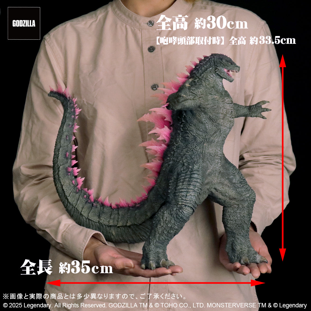 東宝大怪獣シリーズ GODZILLA (2024) EVOLVED Ver. FROM GODZILLA