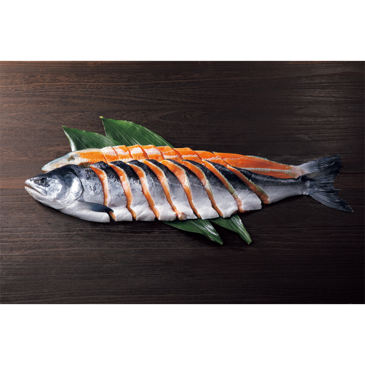 北海道産の定置時鮭(甘塩) 脂がのった「ときしらず」は食通をも唸らせ