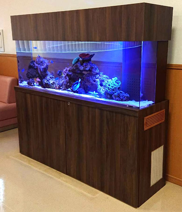 待合室に設置した150センチ無脊椎水槽|水槽設置事例 | 海水魚