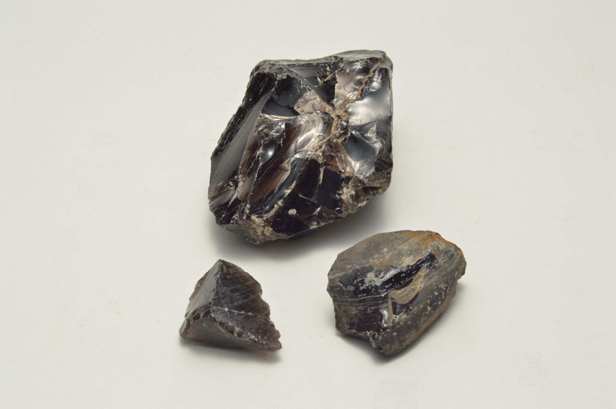 考古分野ミニ展示開催中です！ | 相模原市立博物館の職員ブログ