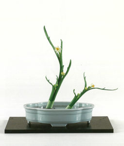 水仙鉢 禅意生け花器 水培陶磁 華道磁器 置物 水仙鉢 禅意生け花器 水