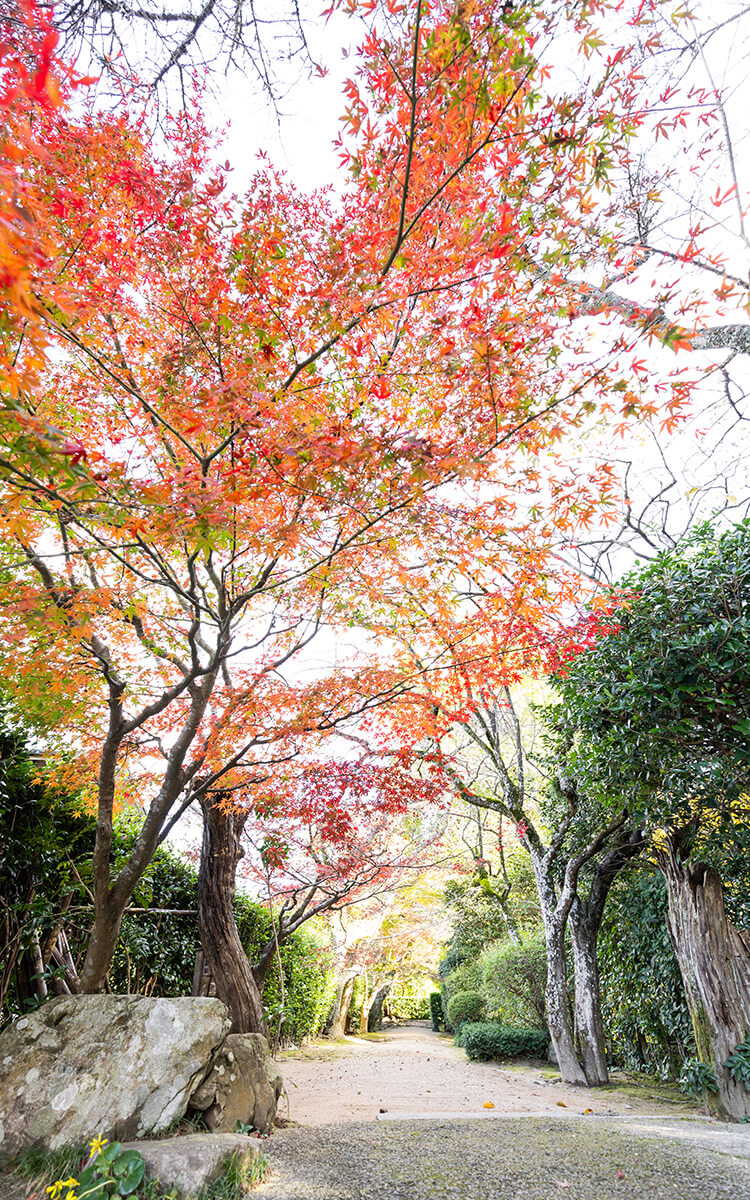 坂髙麗左衛門窯公式ホームページ