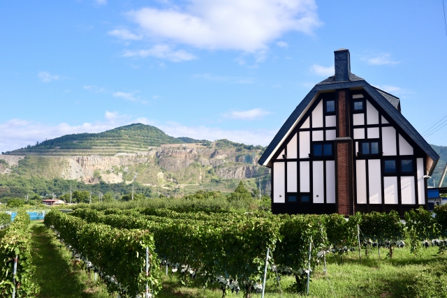 ソガペールエフィスの魅力と特約店 | Sake Café Journal